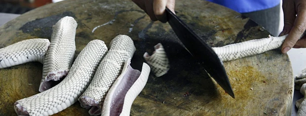 12er1f23.jpg 12er1f23.jpg